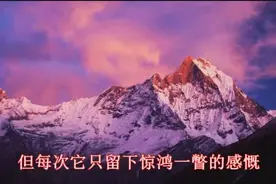 蔡健雅-越来越不懂视频封面