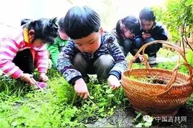 吉林挖野菜最全攻略！（附图）图片