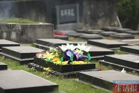 民政部门:绿色安葬有补贴 广西人身后事"绿"起来图片