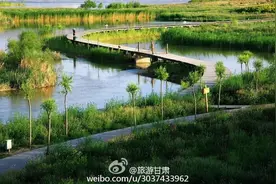兰州：清明踏春游银滩图片