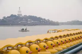 让我们荡起双桨图片