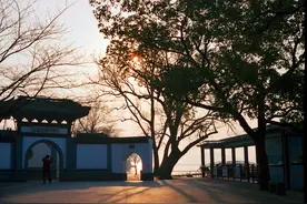 图虫胶片摄影：.. 享受肆意直视太阳的感觉 ..图片