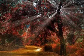 如果有人在深夜给你发微信，如果你还没睡，就回复他吧！