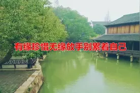 有缘珍惜，无缘放手，别累着自己视频封面