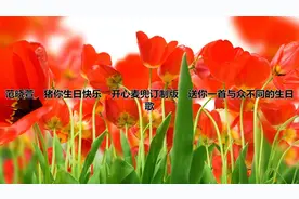 范晓萱 猪你生日快乐 开心麦兜订制版