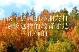 当孩子被别的小朋友打了，家长这样的教育才是正确的视频封面