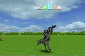 零基础幼儿英语启蒙，最具创意的动物单词学习短片，果断收藏！视频封面