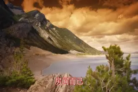 那英&马上又-老有所依（电视剧《老有所依》片尾曲）视频封面