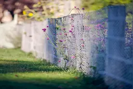 《只是朋友》陈翔