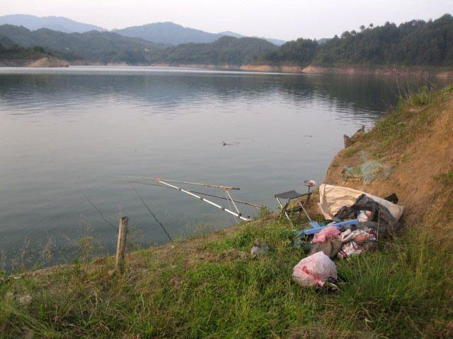 不刮鲤鱼鳞