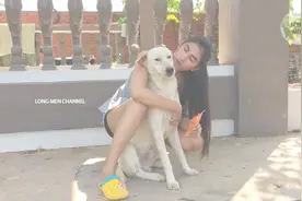 漂亮女孩与三只可愛狗狗玩耍，给狗狗喂食虾片视频封面