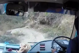 实拍：尼泊尔司机驾驶客车行驶在崎岖的山路视频封面