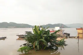 我在德庆三元塔对面的郁南南江口街道上荡舟视频封面