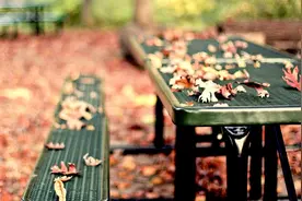 草原之花乌兰图雅经典歌曲 唱得真好听