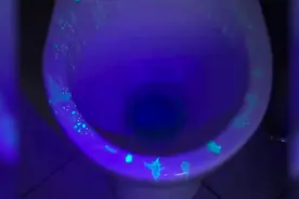 教你用手机做个紫光灯，超简单！视频封面
