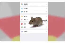 iPhone里“养”只老鼠，整蛊朋友新技能