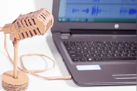 外国技术宅教你用纸板自制一个专业麦克风！