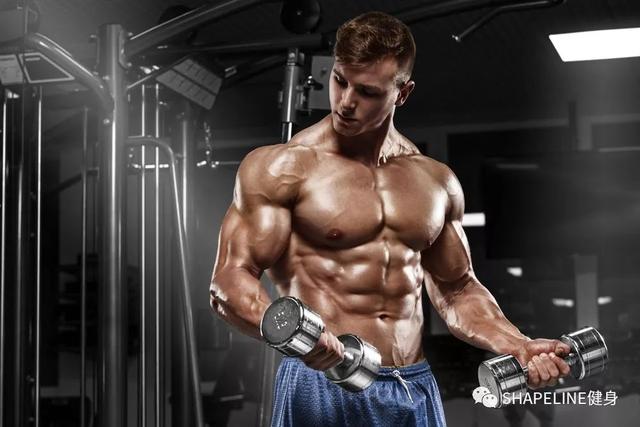 蛋白粉、肌酸、BCAA，这些基础补剂到底该什么时候吃？