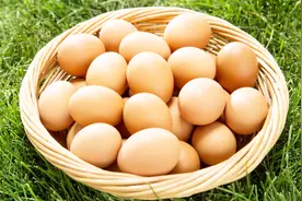 超市买的鸡蛋别放冰箱，学会这招，放3年都照样保鲜不坏变臭视频封面