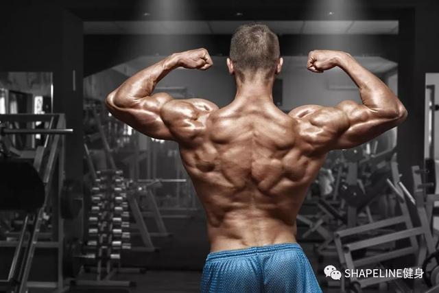 蛋白粉、肌酸、BCAA，这些基础补剂到底该什么时候吃？