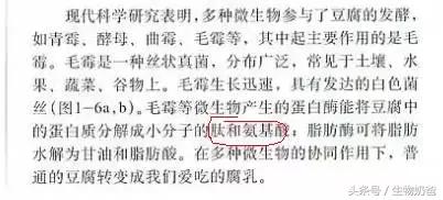 高中生物：蛋白酶能将蛋白质水解成氨基酸吗