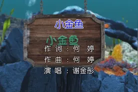 谢金彤-小金鱼 KTV版视频封面