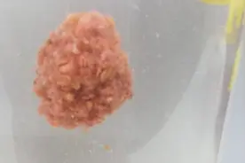 如何把握饵料雾化时间，更好的钓好鲢鱼视频封面