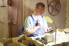 奇人看鸡屁股日赚7000元，网友点赞技术活儿视频封面