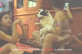 聪明的狗和两位可爱的女孩在家里玩耍视频封面