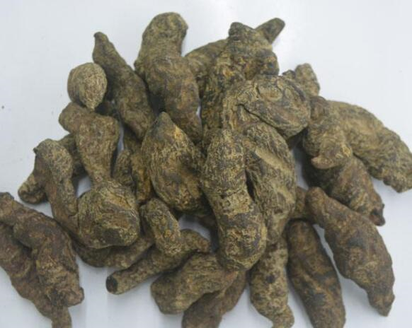 地黄有三种鲜,生,熟,三种都有养阴生津的功效