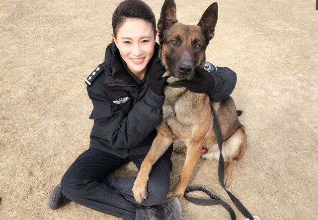 之后几年的《麻辣女兵》《特种兵之火凤凰》《与