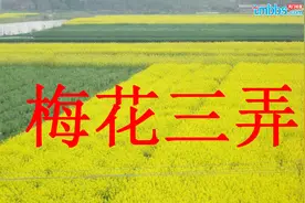 这首《梅花三弄》的歌词，唱湿了我的眼眶视频封面