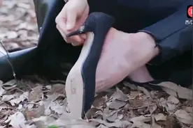 老爸当家：蒋欣穿着高跟鞋爬山！爬到一半鞋跟还断了视频封面