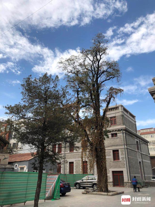 走近科学之鬼楼京城81号!又遇官方解释,真相到底是什么?