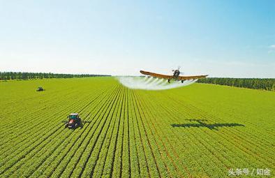 什么是多肽氨基酸叶面肥？它有什么作用？