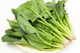 一颗菠菜就把高血压吓跑了，原来菠菜才是高血压的真正“克星”视频封面
