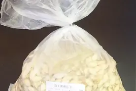 超市的这种袋子怎么打开？教你不用任何工具，保证打开的完美无缺