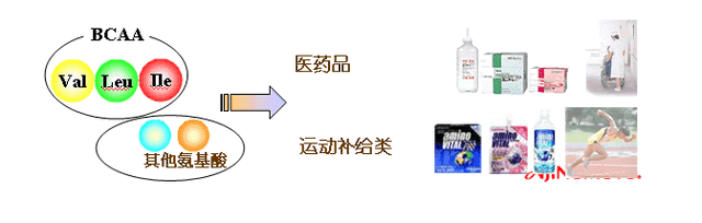 你知道什么是氨基酸吗？让我来向大家普及一下