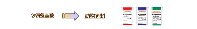 你知道什么是氨基酸吗？让我来向大家普及一下