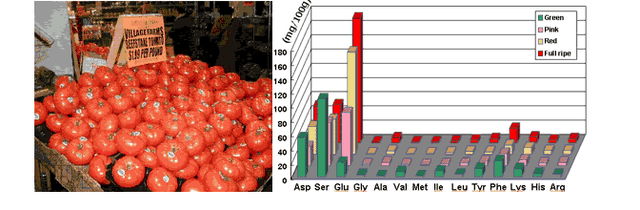你知道什么是氨基酸吗？让我来向大家普及一下