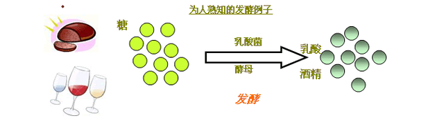 你知道什么是氨基酸吗？让我来向大家普及一下