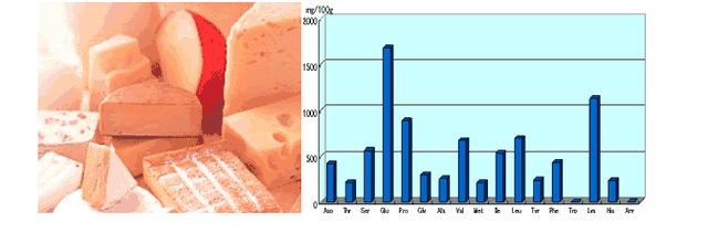 你知道什么是氨基酸吗？让我来向大家普及一下