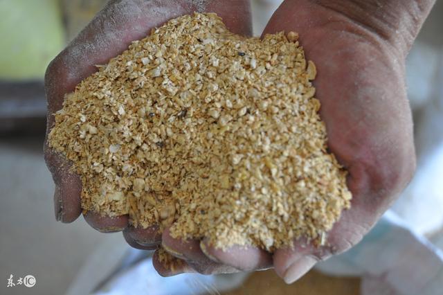 低温豆粕和高温豆粕究竟有什么差别，你真的了解吗？