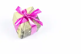 diy手工制作 神奇的折纸 圣诞创意礼物一元钱折纸教学视频视频封面