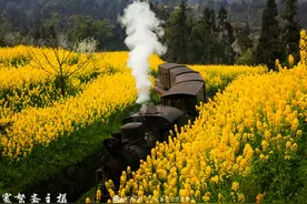 伴着“蒸汽机时代”的老爷火车走进春天图片