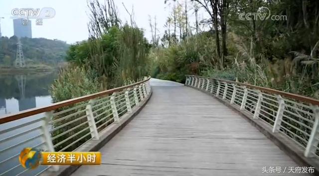 给力！天府新区再次上央视，完整视频来了！