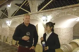 看看国外酿酒师是怎样评价中国葡萄酒的视频封面