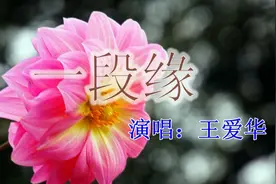 《一段缘》-王爱华 演唱，今生相见就是缘……图片