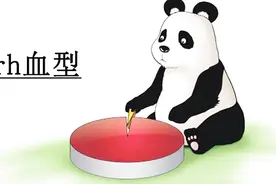 rh血型阳性是什么意思？