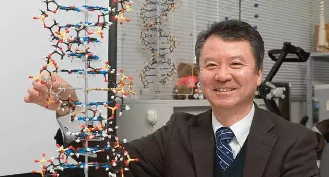 “超自然”碱基对成功生效，已在半人造生命体中合成新蛋白